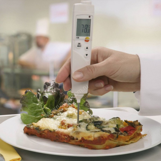 Комплект Testo 106 с чехлом TopSafe