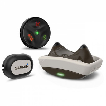 Система дрессировки собак Garmin Delta Smart комплект - прибор и датчик
