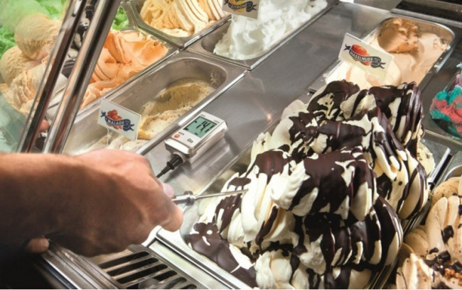 Логгер Testo 175 T2